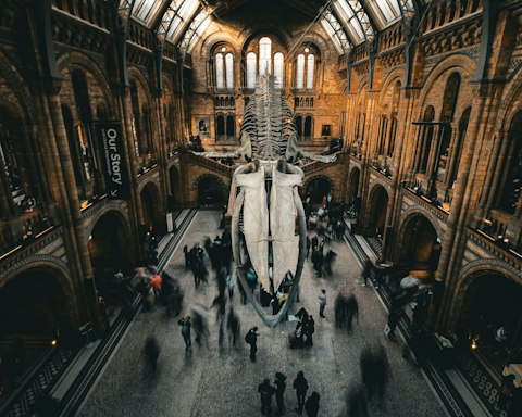 Visit the Natural History Museum, a ten-minute walk through South Kensington