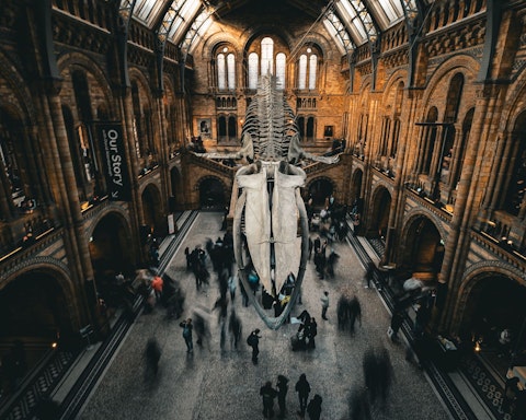 Visit the Natural History Museum, a ten-minute walk through South Kensington