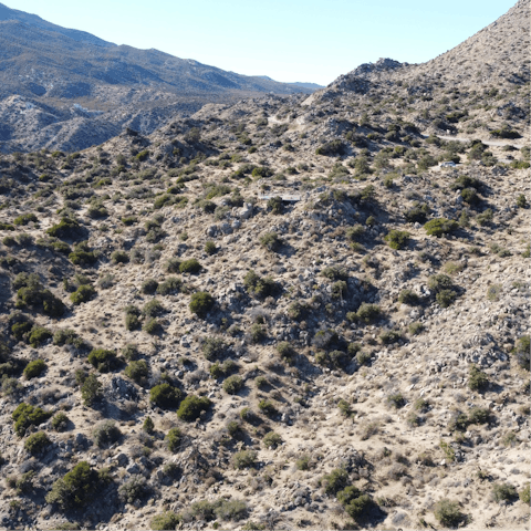 Explore the scenic views of Bennett Valley