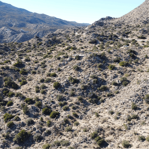 Explore the scenic views of Bennett Valley