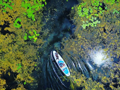 Paddle a rare Florida coastal dune lake where freshwater meets the Gulf