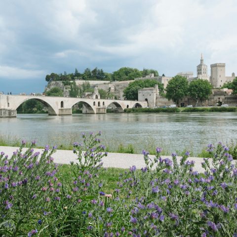 Spend a day exploring pretty Avignon, around a forty-minute drive away