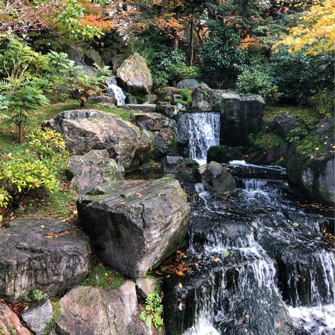 Stroll around Holland Park on a sunny morning, just a fifteen-minute walk away