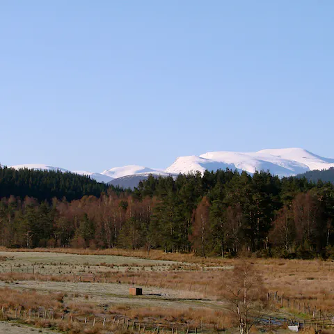 Follow hiking trails towards the majestic Cairngorms