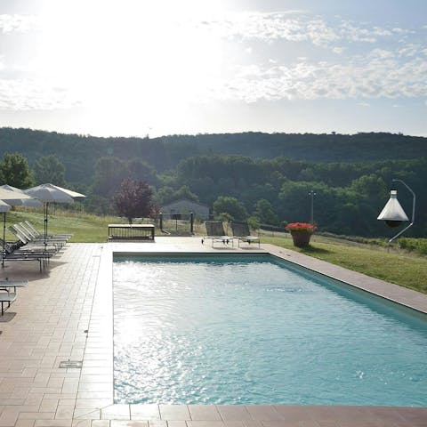 Dive into the communal swimming pool