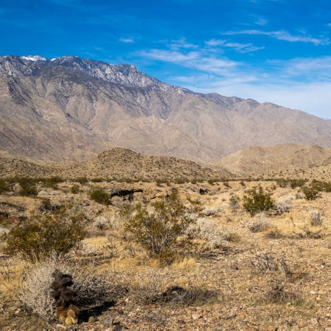 Spend the day hiking in the Indian Canyons, just a sixteen minute drive away