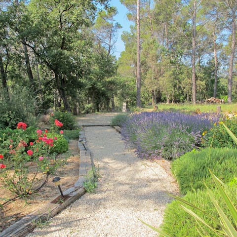 Wander around the fauna and flora of the colourful gardens