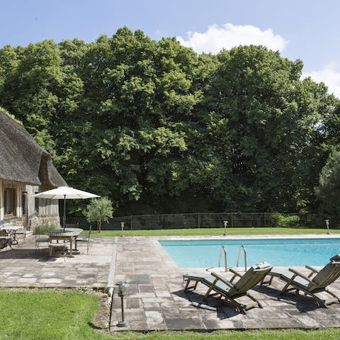 Relax by the pool