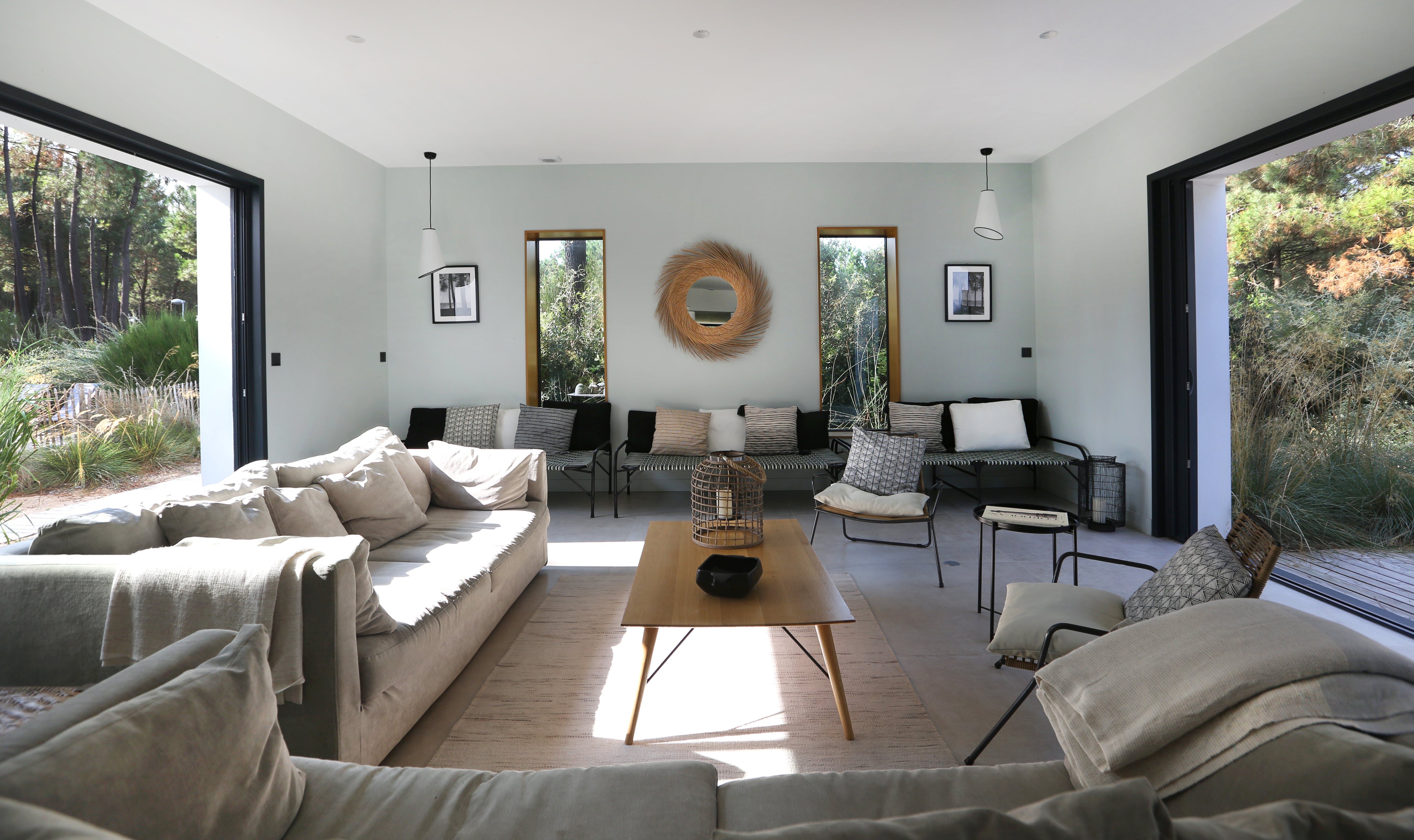 Whimsical Wilderness 