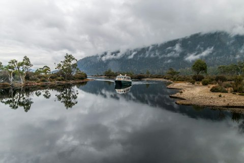 Board a full-day Gordon River wilderness cruise departing minutes away