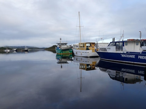 Watch dolphin pods glide across Macquarie Harbour from your cabin windows
