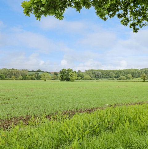 Admire the views of the Cotswold National Park