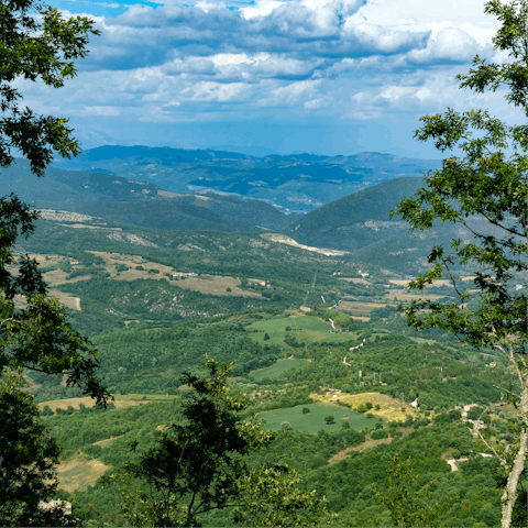 Roam around the nearby Parco Fluviale del Tevere, where you can hike in the woods