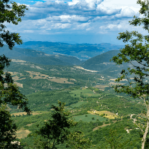 Roam around the nearby Parco Fluviale del Tevere, where you can hike in the woods