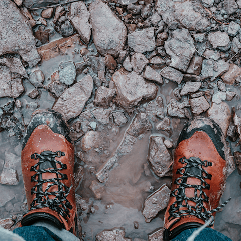 Follow the estate's hiking trails to discover the surrounding nature