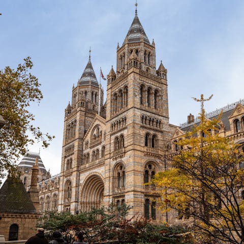 Stay just a ten-minute stroll away from the Natural History Museum, V&A, Science Museum and Hyde Park