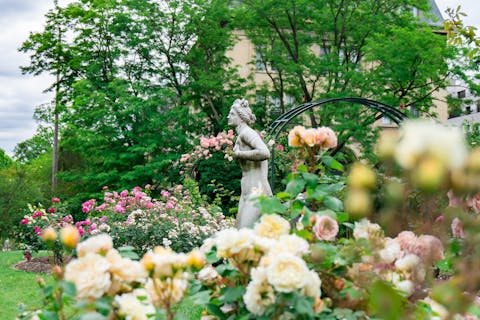 Breathe in the aroma of fresh flowers as you stroll around the Jardin des Plantes