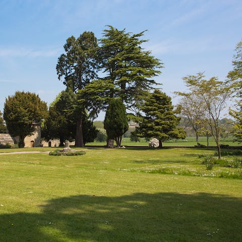Roam the beautiful Welsh countryside on your doorstep