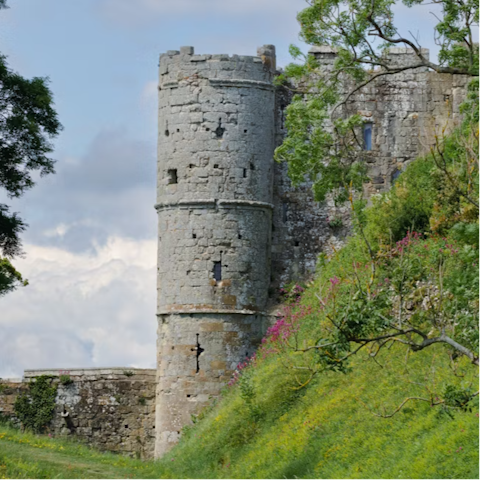 Explore Chepstow Castle and market town, just  3 miles away