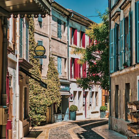 Spend the day in Saint Rémy de Provence, 8km away