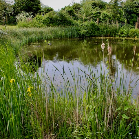 Explore the natural beauty of Kent, right on your doorstep