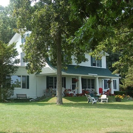 Get lost in a book in the shade of a hundred-year-old tree