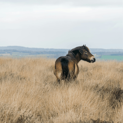 Take to the trails of the Mendip Hills