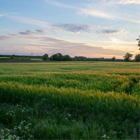 Put on your hiking boots and explore the Oxfordshire countryside