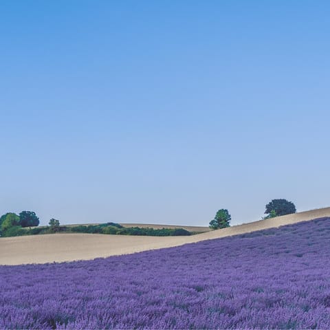 Experience the natural beauty of Provence from the Luberon