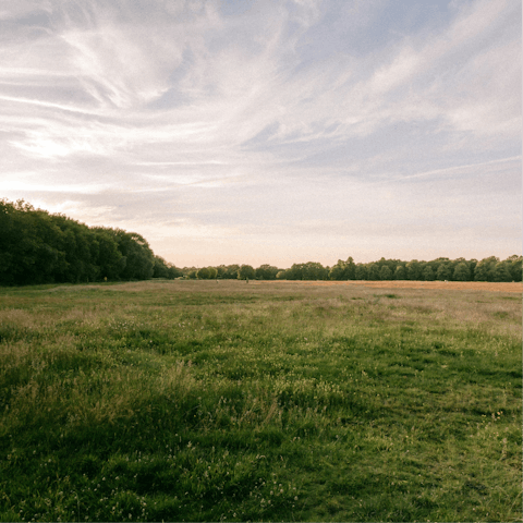 Go for a long walk around Wimbledon Common, not far on foot