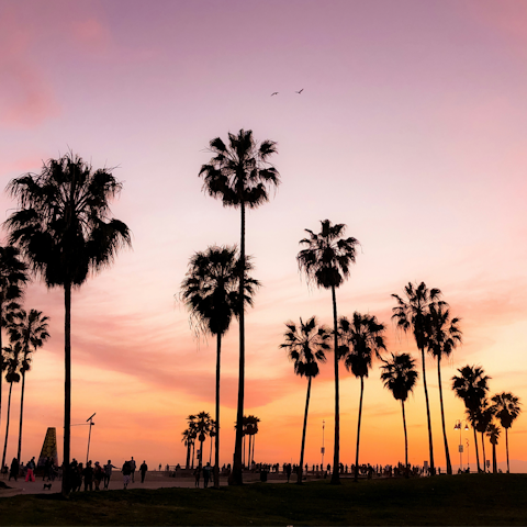 Catch the sunset at Venice Beach, an eleven-minute drive away