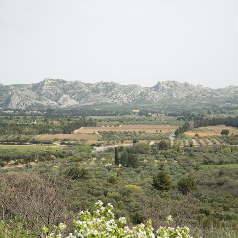 Discover the charming landscapes around the Alpilles