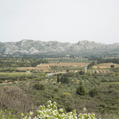 Discover the charming landscapes around the Alpilles
