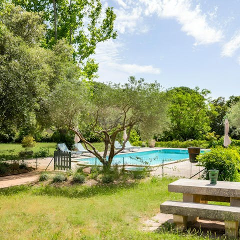 Laze in the swimming pool surrounded by picturesque greenery