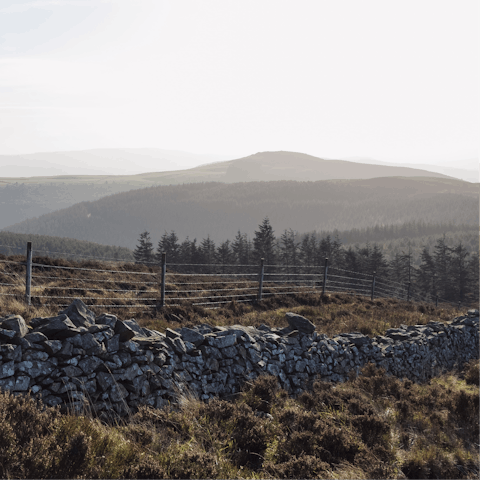 Embrace the natural elements from the beautiful Vale of Clwyd 