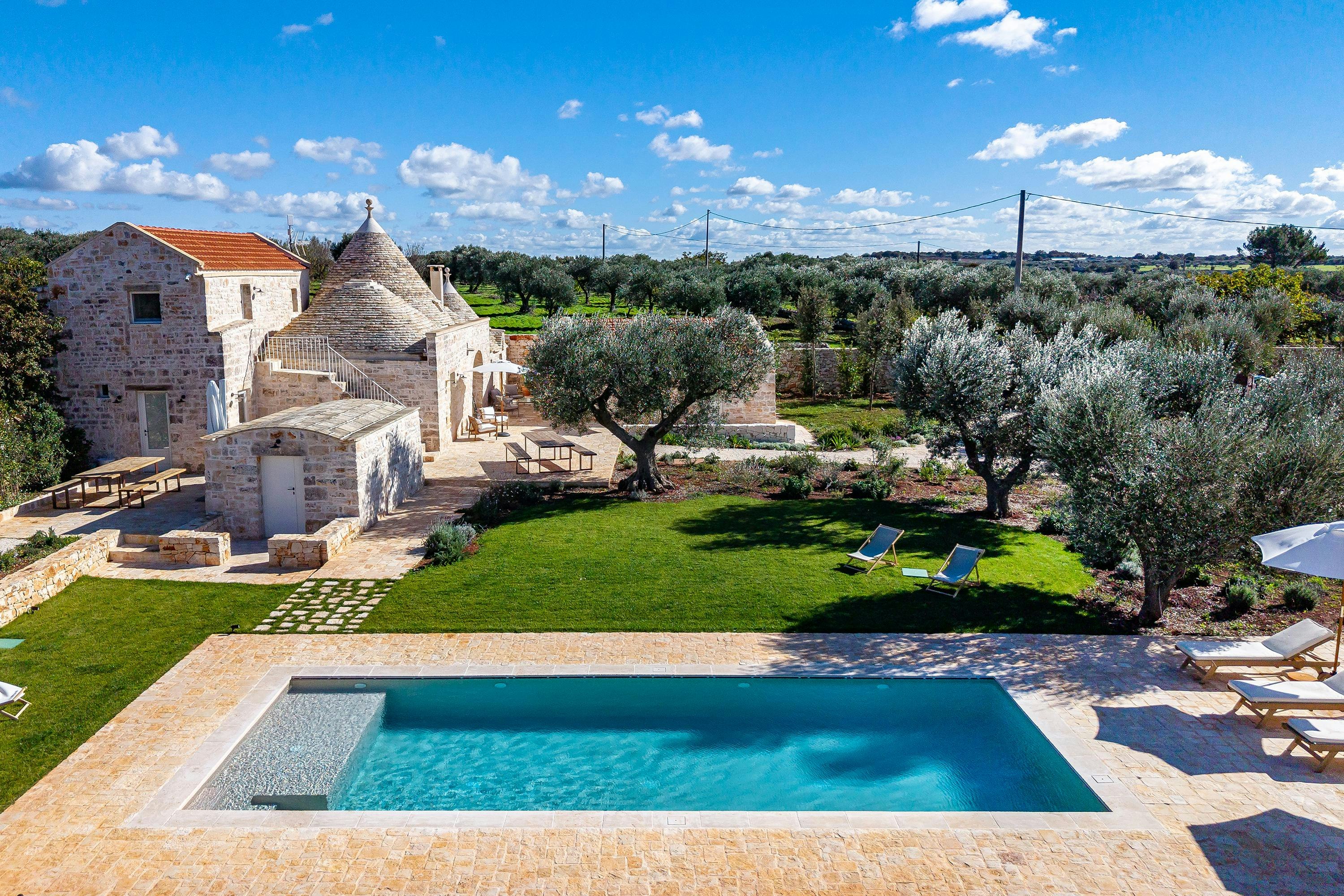 Centuries-Old Olive Groves