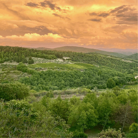 Explore this beautiful corner of Tuscany, including the nearby medieval town of Greve