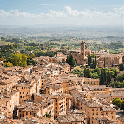Drive 23km to Siena and explore the historic squares and palazzos