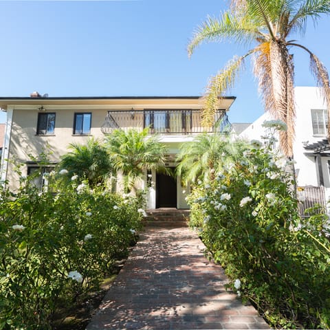 Enter through the beautiful palm-lined walkway