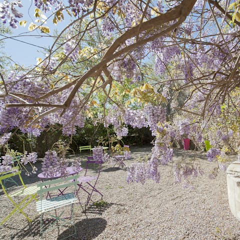 Take your tea under the beautiful trees of the home