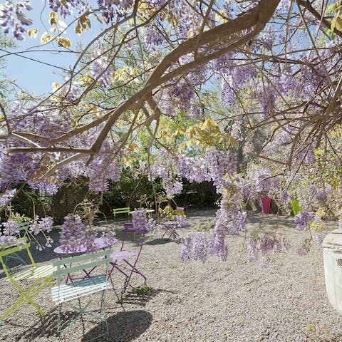 Take your tea under the beautiful trees of the home