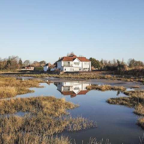 Discover the unique wildlife, birds and natural surroundings of this waterfront home