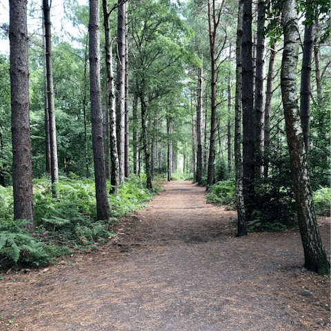 Visit the South Downs National Park and the neighbouring town of Chichester, only a twenty-minute drive away