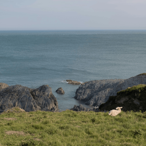 Explore the beautiful coast of North Devon
