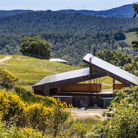 Explore Tuscany from your location between Pisa and Siena