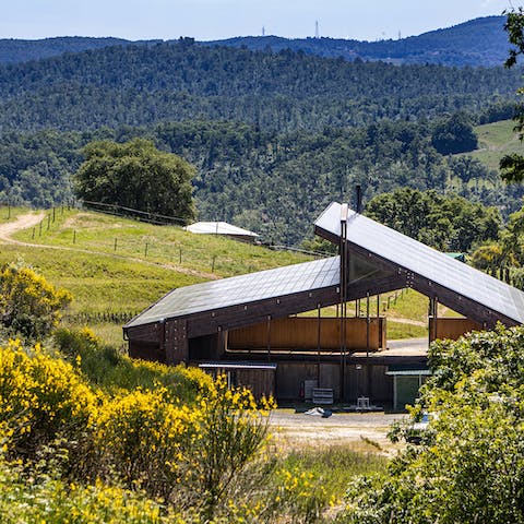 Explore Tuscany from your location between Pisa and Siena