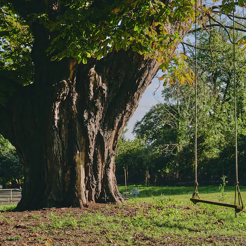 Let the kids run wild in the lush and expansive grounds