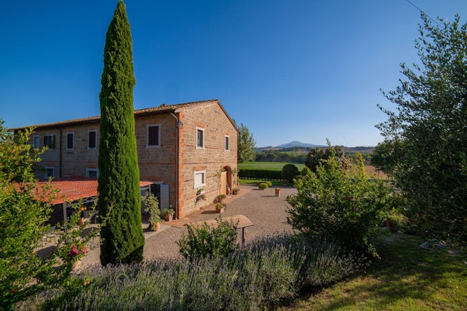 Tuscany Grace