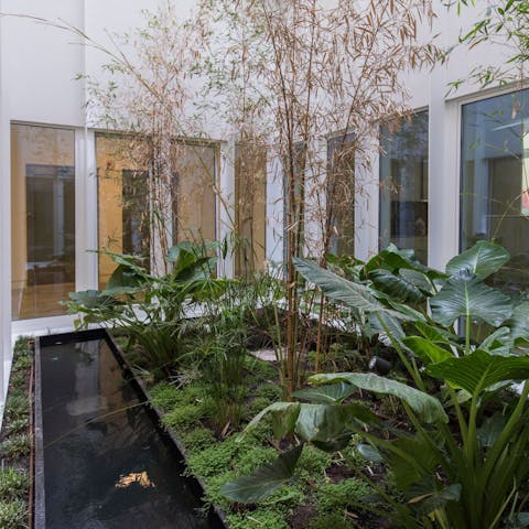 Admire the hidden courtyard oasis