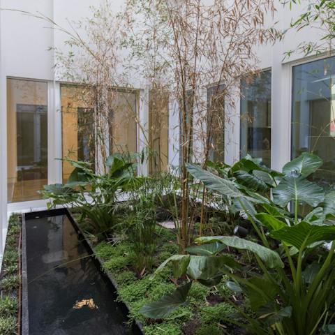Admire the hidden courtyard oasis